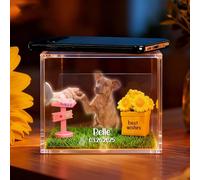Personalised Pet Holographic Memorial Box - DIY Pet Hologram Digital House Keepsake, 3D Custom Pet Loss Gift with Photo, High-Transmittance Display for Dog Cat Lovers, Pet Remembrance Ornament