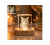 Personalised Pet Memorial 3D Photo Crystal Ball Custom Engraved Crystal Keepsake from Your Picture, Pet Dog Cat Family Couple Baby Pet Dog Cat Memorial Gift, Birthday Anniversary