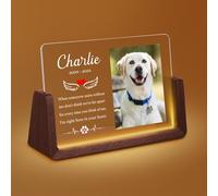 Personalised Pet Memorial Gifts, Custom Acrylic Pet Memorial Photo Frame with Light, Sympathy Gift for Lost Dog or Cat