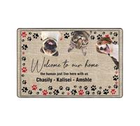 Personalised Pet Photo Doormat Custom Welcome To Our Home Mat Indoor Entrance Floor Mat Funny Pet Welcome Doormat Hope You Like A Dog Doormat Gift For Pet Lovers (style 4)