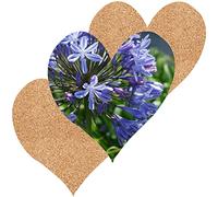 PERSONALISED PHOTO COASTER - Custom Any Text Any Photo Upload Wooden 9cm Heart Glossy Gift Idea