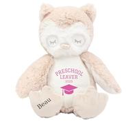 Personalised Preschool Leaving Gift Bunny with Name - Pink Preschool Leaver 2025 Soft Toy for Boy Girl Graduation Nursery Starting School - Brown Owl