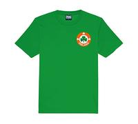 Personalised Republic of Ireland Football Shirt Supporters' Gear Kids Kelly Green Tshirt Kit Best Birthday Gift for 3 to 13 Year Olds
