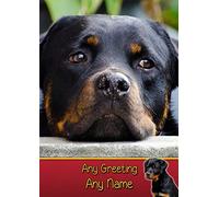 Personalised Rottie/Rottweiler Dog Greeting Card (Birthday, Mothers Day, Fathers Day, Christmas, Blank) - Custom Card for Him Her Male Female Family Kids