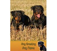 Personalised Rottie/Rottweiler Dog Greeting Card (Birthday, Mothers Day, Fathers Day, Christmas, Blank) - Custom Card for Him Her Male Female Family Kids