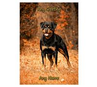 Personalised Rottweiler Dog Greeting Card (Birthday, Mothers Day, Fathers Day, Christmas, Blank) - Custom Card for Him Her Male Female Family Kids