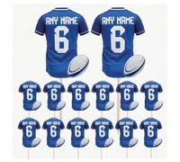 Personalised Rugby Shirt Toppers, Food Picks, Jersey Cupcake, Party Decorations, 14 Pack (LEINSTER COLOURS)