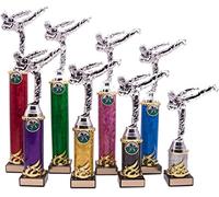 Personalised Silver Martial Arts Column Trophy Award Engraved With Your Text (25cm)