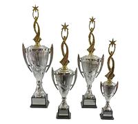 Personalised Silver Presentation Cup Gold Rising Star Dance Trophy Award - Enter Your Own Custom Text (Large)