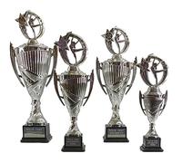 Personalised Silver Presentation Cup Renegade Dance Trophy Award Engraved - Enter Your Own Custom Text (Medium)