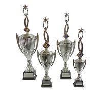 Personalised Silver Presentation Cup Silver Rising Star Dance Trophy Award - Enter Your Own Custom Text (Large)