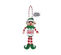 Personalised Snowglobe tree decoration (Charlie)