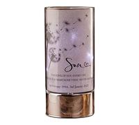 Personalised Son Memorial In Loving Memory Led Lamp With Dandelions