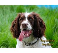 Personalised Springer Spaniel Dog Greeting Card (Birthday, Christmas, Any Occasion) - Custom Card for Him or Her Male Female Family Kids Boys Girls any Age