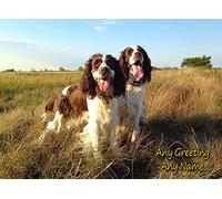 Personalised Springer Spaniel Dog Greeting Card (Birthday, Christmas, Any Occasion) - Custom Card for Him or Her Male Female Family Kids Boys Girls any Age
