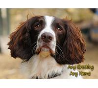 Personalised Springer Spaniel Dog Greeting Card (Birthday, Christmas, Any Occasion) - Custom Card for Him or Her Male Female Family Kids Boys Girls any Age