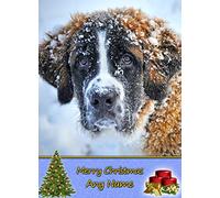 Personalised St Bernard Dog Christmas Card (Merry Christmas, Any Name) - Custom Xmas Card for Him or Her Male Female Kids Boys Girls