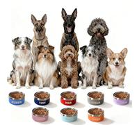 Personalised Stainless Steel Dog Bowl with Text, Three Sizes and 8 Colors, Anti-Slip Pad on the Bottom (L)