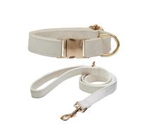 Personalised Suede Dog Collar with Customized Text, Collar and Lead Set, Different Sizes and Adjustable to Fit Puppies, Cats, and Middle、Large Dogs Beige With leash XS