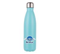 Personalised Swimmer theme, Sports gift, Swimming Lover Gift, 500 ML Double Walled Insulated Stainless Steel Bottle. (Matt Mint Green)