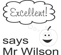 Personalised Teacher Stamp super excellent well done brilliant motivational work