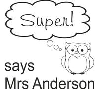 Personalised Teacher Stamp super excellent well done brilliant motivational work