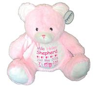 Personalised Teddy Bear - Pink Teddy Customisable New Baby, Newborn, Girl, Nursery Teddy Bear, Keepsake, Christening Gift