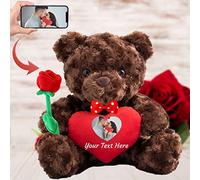 Personalised Teddy Bear with Photo and Custom Text on Heart, Stuffed Animals Valentine Teddy Bear with Rose & Bow as Im sorry gifts for Her/ Him on Valentine/ Anniversary/ Birthday (8-IN--Red Heart)