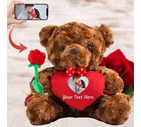 Personalised Teddy Bear with Photo and Custom Text on Heart, Stuffed Animals Valentine Teddy Bear with Rose & Bow as Im sorry gifts for Her/ Him on Valentine/ Anniversary/ Birthday (8-IN--Red Heart)