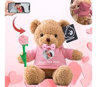 Personalised Teddy Bear with Photo & Text, Stuffed Animal with Rose & Bow - Perfect 'I'm Sorry' Gift for Her on Valentine, Anniversary or Birthday (12-Inch Pink Hoodie)