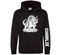 Personalised Triceratops Boys Hoodie Three-Horned Dinosaur Custom Sleeve Print Dino Kids Hooded Top, 3-4 Years, Black