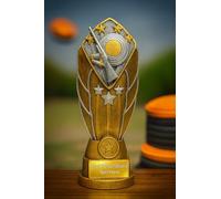 Personalised Trophy Gift for Shooting Clubs, Clay Pigeon Shooting Trophy with Engraving - Diamond Disc Design - Gold & Silver Resin Finish Award with Star Detail - Personalised Plate. (240mm)