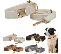 Personalised Velvet Dog Collar - Custom Name Engraved Pet Collar - Soft & Stylish Adjustable Collar&leash for Small Medium Large Dogs - Luxury Look for Everyday Wear