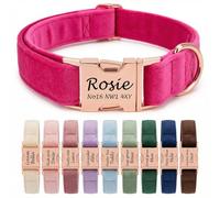 Personalised Velvet Dog Collar UK - Engraved Gold Buckle, Luxury Padded Soft Collar for Small Medium Large Dogs | Custom Name ID Tag, 18 Colours Available | Hot Pink