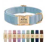 Personalised Velvet Dog Collar UK - Engraved Gold Buckle, Luxury Padded Soft Collar for Small Medium Large Dogs | Custom Name ID Tag, 18 Colours Available | Light Blue