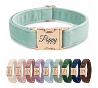 Personalised Velvet Dog Collar UK - Engraved Gold Buckle, Luxury Padded Soft Collar for Small Medium Large Dogs | Custom Name ID Tag, 18 Colours Available | Mint Green