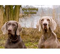Personalised Weimaraner Dog Greeting Card (Birthday, Mothers Day, Fathers Day, Christmas, Blank) - Custom Card for Him Her Male Female Family Kids