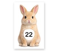 Personalised Wheelie Bin Sticker | Cute Rabbit House Number Bin Decal | Waterproof Vinyl Dustbin Label