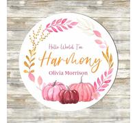 Personalised Wooden Hello World Baby Arrival Plaque with 7 Autumn & Pumpkin Designs, New Baby Shower, Photo Shoot Keepsake for Mums, Dads & New Parents (Pink & Gold)