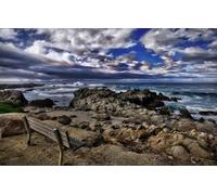 Personalised Wooden Jigsaw Puzzles 100 Piece for Adults from Photo Custom - Design Your Own Picture Gifts, Sea, California, Asilomar Beach 45,5x35,5CM