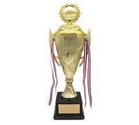 PersonalisedLarge Silver Gold Presentation Cup Crusader Lidded Trophy Multi Award Engraved - Enter Your Own Custom Text (Gold)