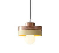 Personality Hanging Light Industrial Pendant Light Small Traditional Chandelier Single Head Scandinavian Suspension Lampe for Bedside Indoor Rustic Teahouse Café