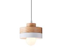 Personality Hanging Light Industrial Pendant Light Small Traditional Chandelier Single Head Scandinavian Suspension Lampe for Bedside Indoor Rustic Teahouse Café
