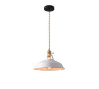 Personality Iron Art Color ChanerE27 Base Single-Head Hanging LightIndoor Adjustable HeightAmen Industrial Pendant Light for Kitchen Island Dining Room Bedroom Hallway ng Room