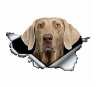 Personality PVC Decal Weimaraner V4 Car Sticker on Motorcycle Laptop Decorative Accessories 13/15/17CM(3,26 CM)