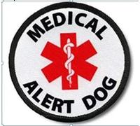 Personalization Pet Service Dog In Training SECURITY PATCH BADGES Therapy Dog PET DO NOT EMOTIONAL SUPPORT Patches For DOG PET Harness Vest,g