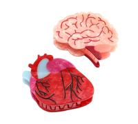 Personalized Acetate Anatomical Heart Hair Claw Clip Brain Claw Hair Clip Relaxing Hair Clip for Nurses Holiday, Personalized and Fun for women Gift (Brain Heart)