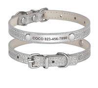 Personalized Adjustable Puppy Kitten Collar With ID Name And Phone Number Tag For Shiba Inu Pug Chihuahua Poodle,Silver,M