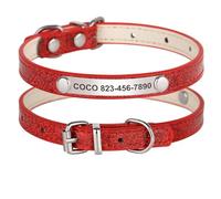 Personalized Adjustable Puppy Kitten Collar With ID Name And Phone Number Tag For Shiba Inu Pug Chihuahua Poodle,Red,M