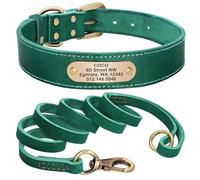 Personalized Anti-Loss With ID Name Phone Number Tag Dog Training Collar Leash Suit Suitable For Poodle Pit Bull Bull Collie,Green,XL